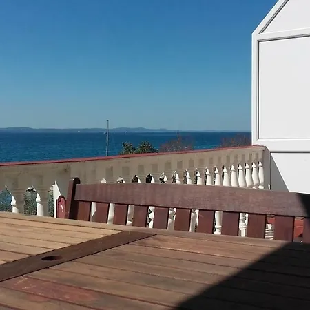 Lara Zadar