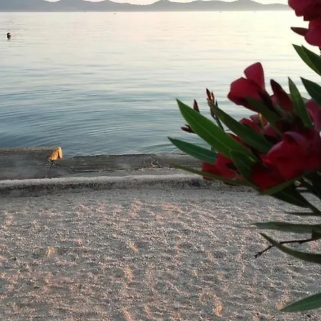 Apartment Lara Zadar